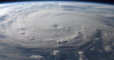 How Much Do Hurricanes Hurt the Economy?